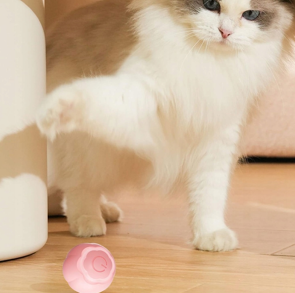 INTELIGENTNA PIŁKA DLA KOTA KOTÓW INTERAKTYWNA UCIEKAJĄCA ZABAWKA USB