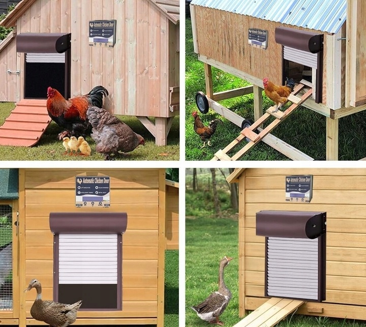 AUTOMATYCZNE DRZWI DO KURNIKA TIMER CZUJNIK ŚWIATŁA PANEL SOLARNY