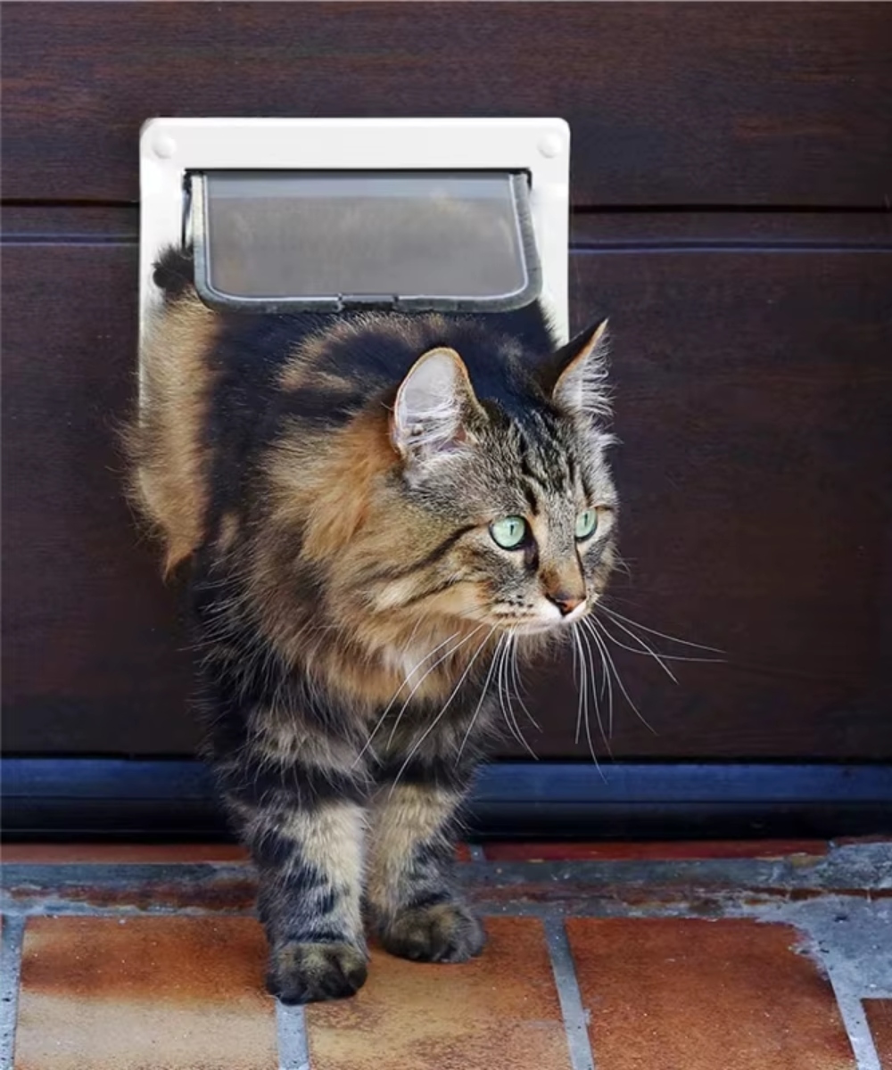 DRZWI Z KLAPĄ DLA PSA KOTA DRZWICZKI WAHADŁOWE KLAPA 4 SPOSOBY L BIAŁE