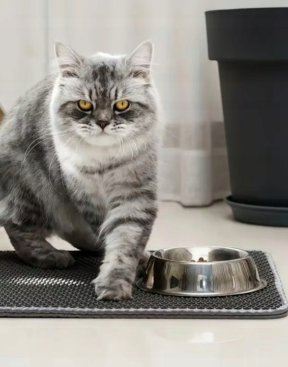 MATA POD KUWETĘ WYCIERACZKA DLA KOTA 50x40 cm