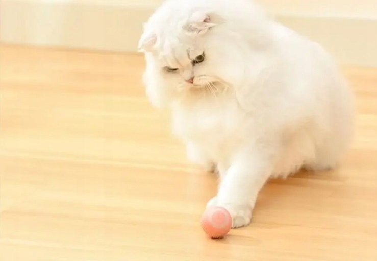 INTERAKTYWNA PIŁKA DLA KOTA INTELIGENTNA ZABAWKA DLA KOTÓW USB FD-07