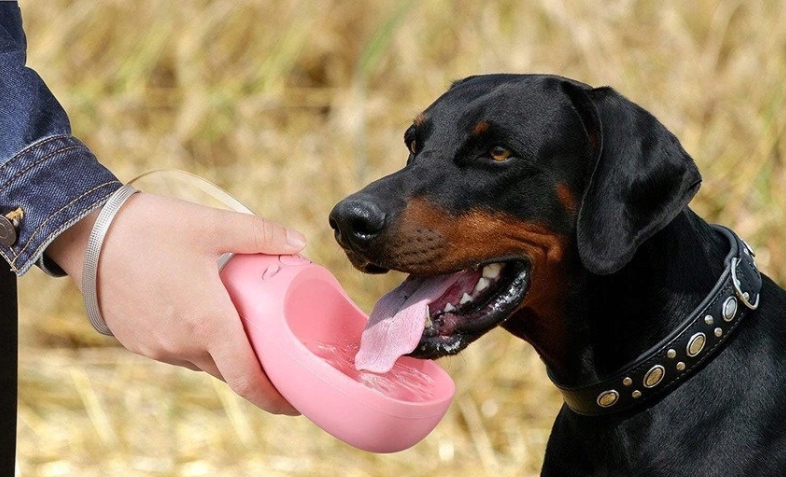 PRZENOŚNE POIDŁO BUTELKA NA SPACER DLA PSA 550ML