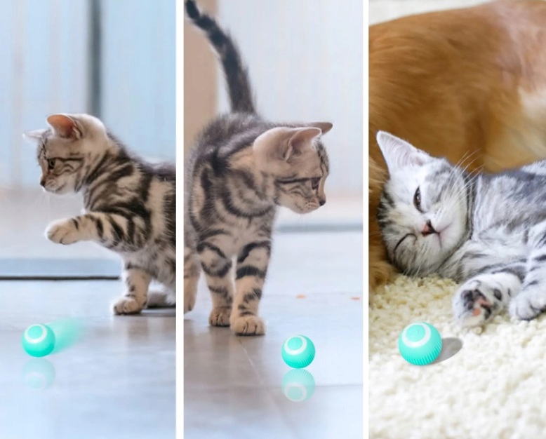 INTERAKTYWNA PIŁKA DLA KOTA INTELIGENTNA ZABAWKA DLA KOTÓW USB FD-07