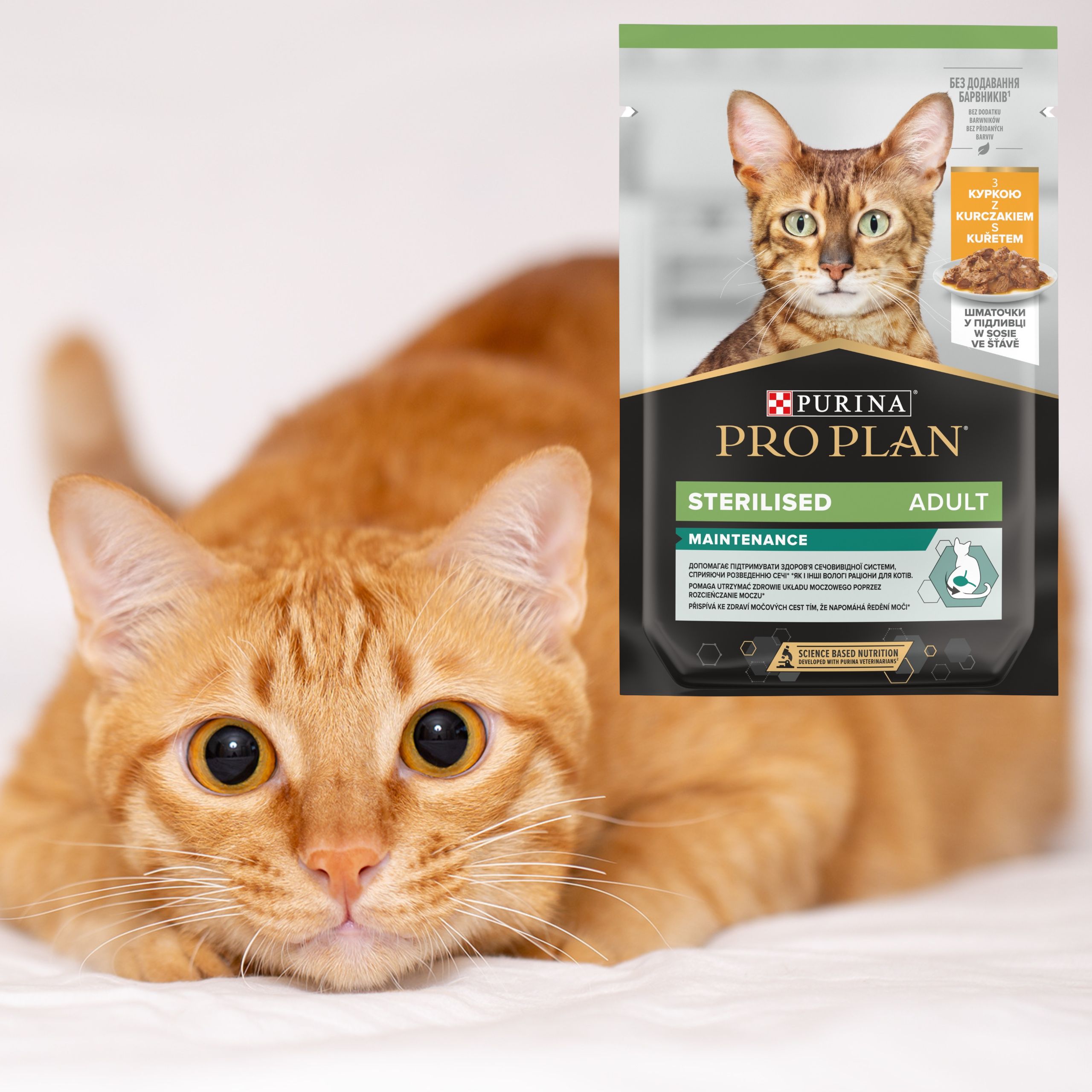 karma mokra dla kotów sterylizowanych pro plan sterlised z kurczakiem 85 g