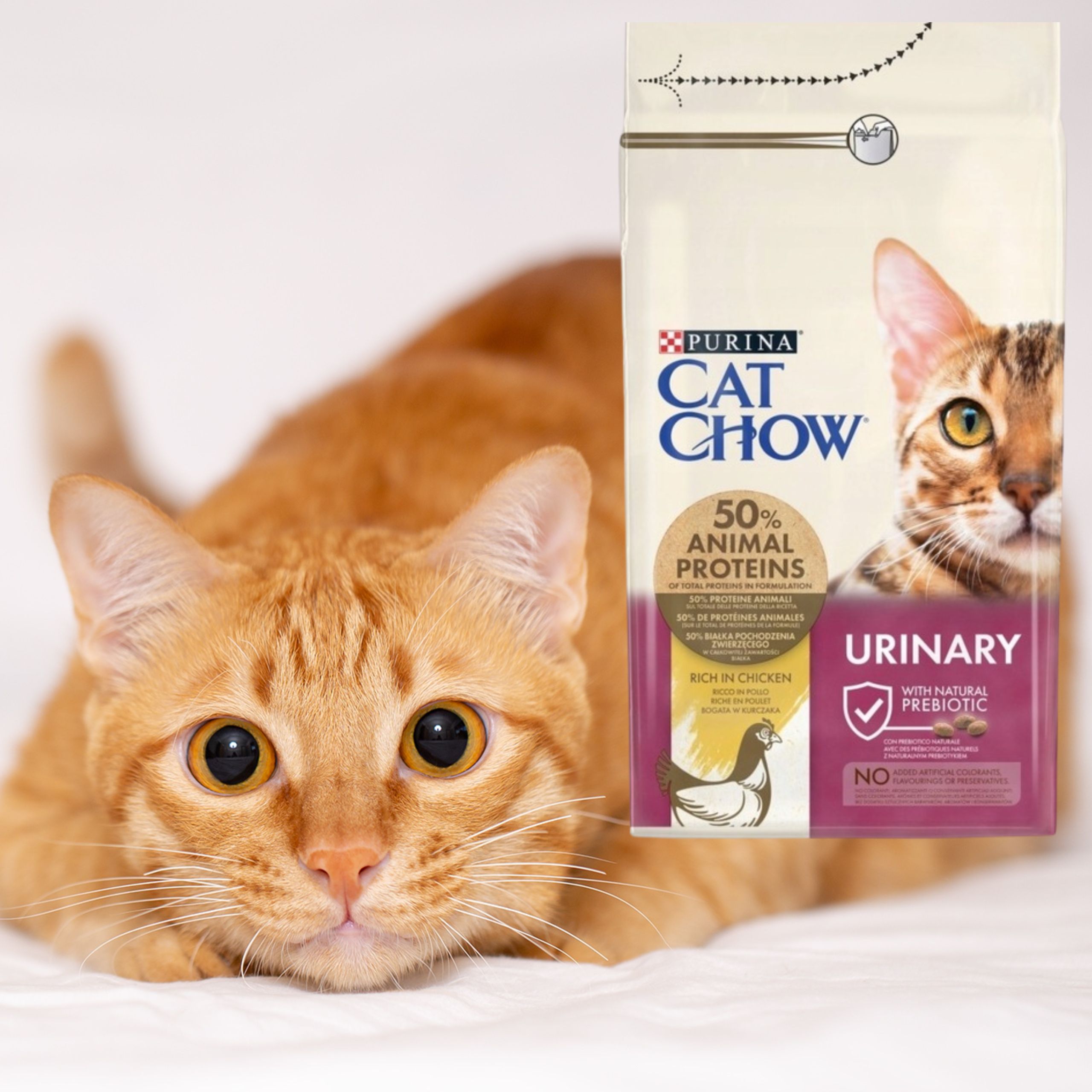 sucha karma dla kota cat chow kurczak z prebiotykiem 15 kg + 1.5 kg gratis