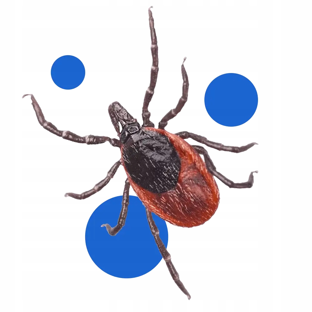 bros - bagosel 100ec 30ml - preparat do oprysku ogrodu przeciw komarom