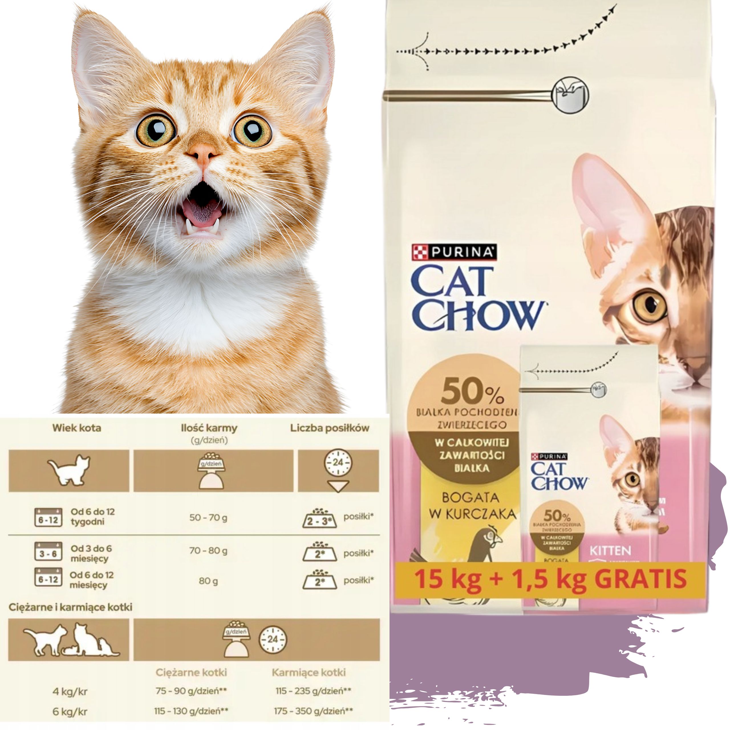 sucha karma dla kota cat chow kitten kurczak 15 kg + 1.5 kg gratis kocięta