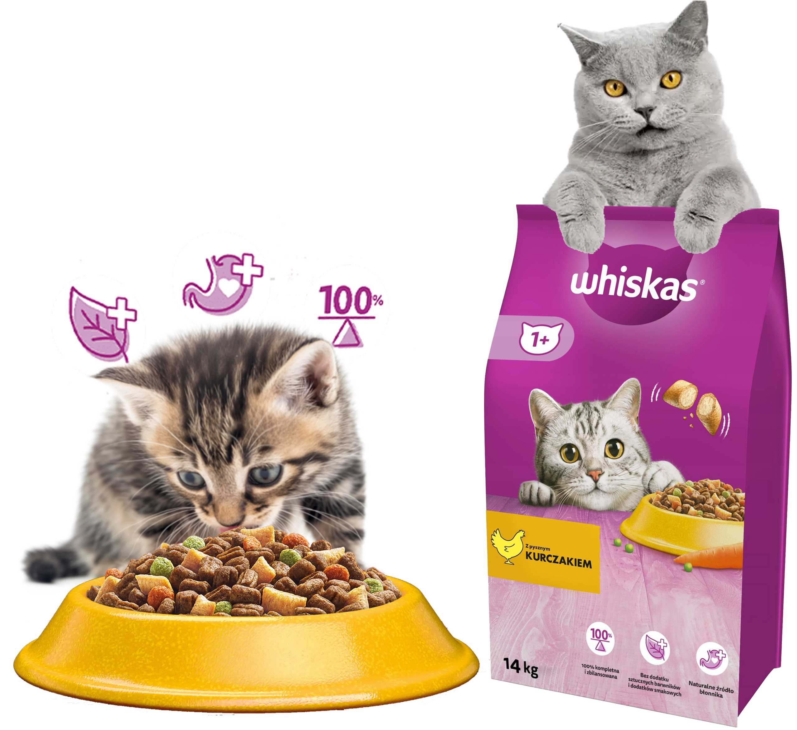 whiskas sucha kurczak 14kg