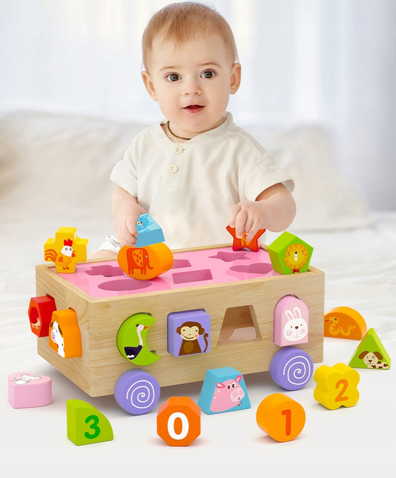 sorter na kółkach jhtoy-545