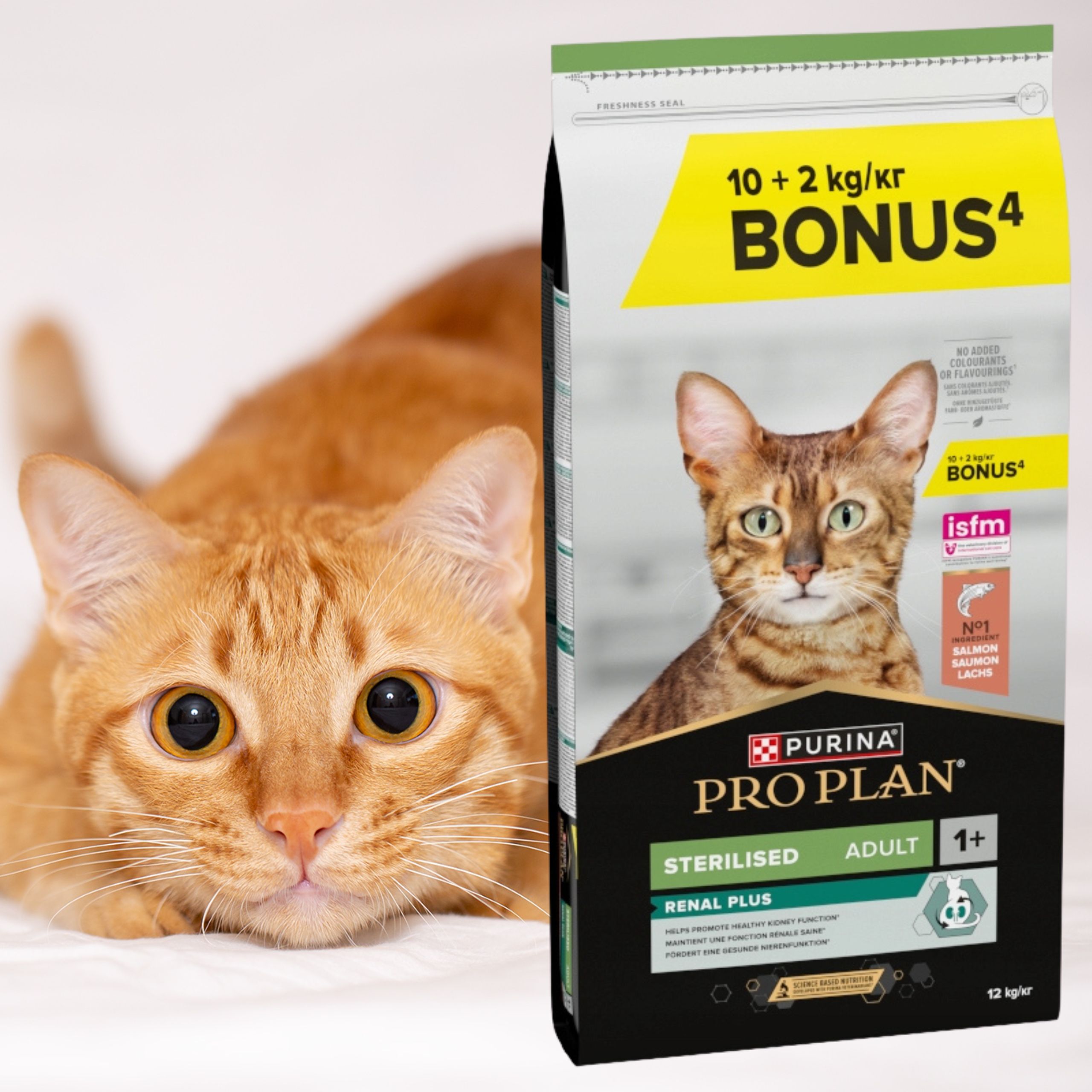 sucha karma dla kotów sterylizowanych z łososiem pro plan salmon 12kg bonus