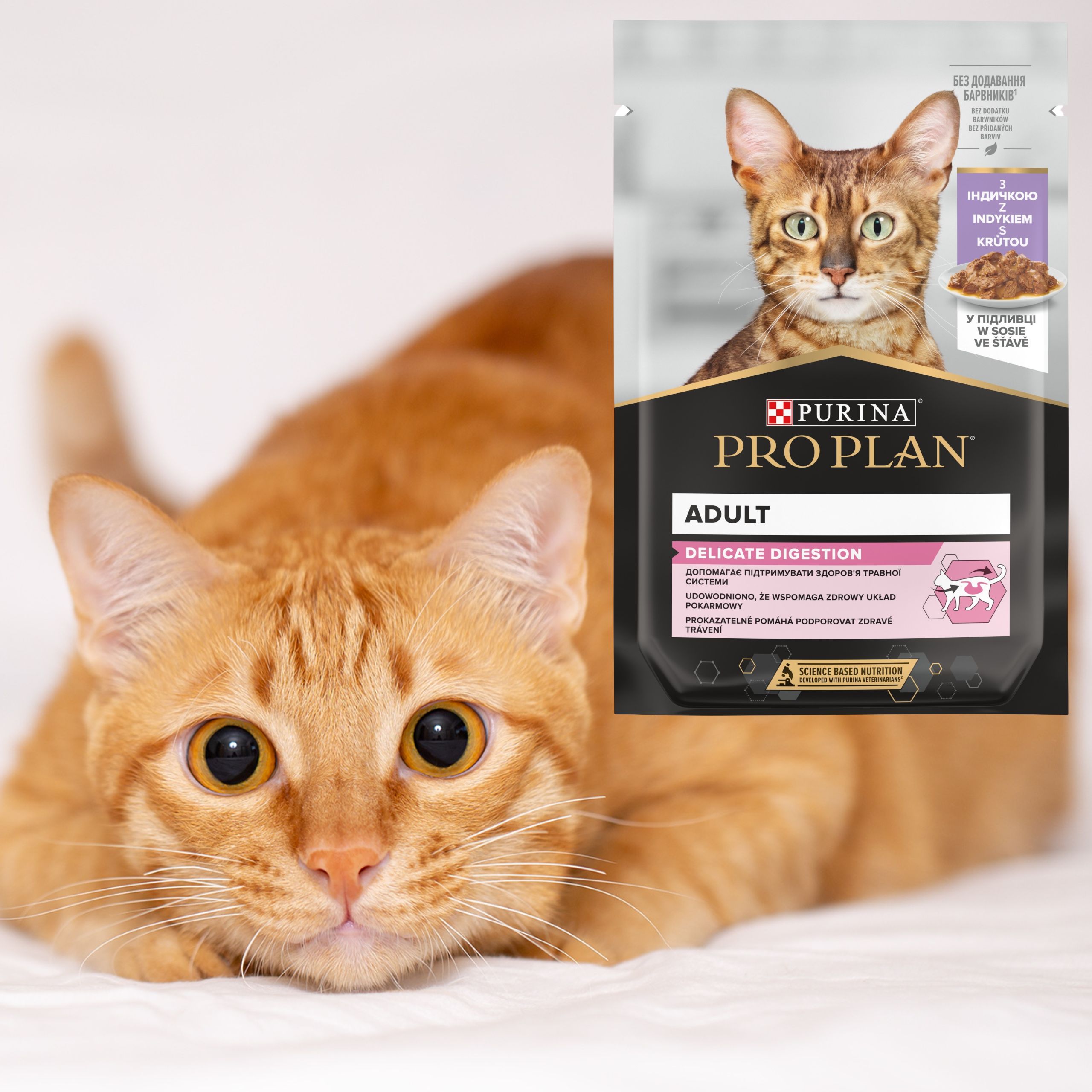 karma mokra dla kota purina pro plan z indykiem w sosie 85 g wrażliwe koty