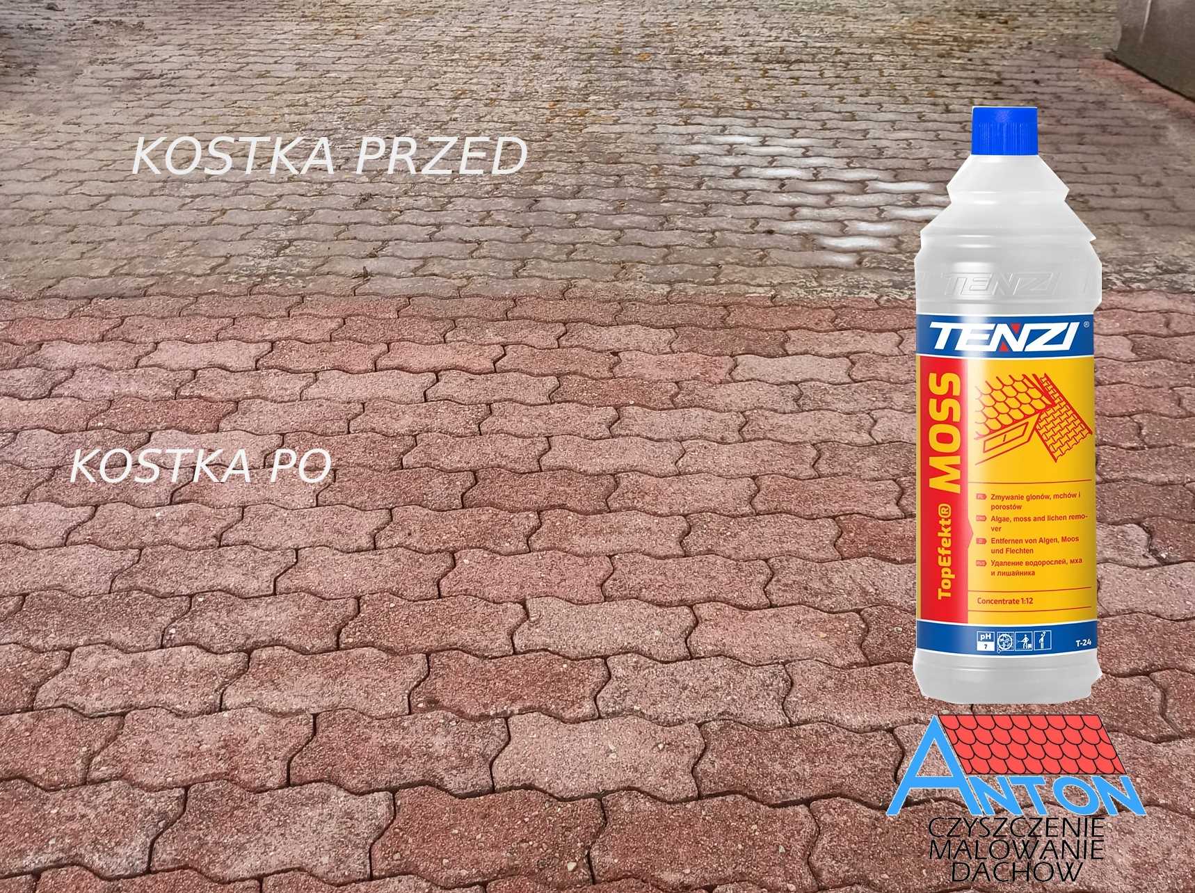 tenzi topefekt moss 1l