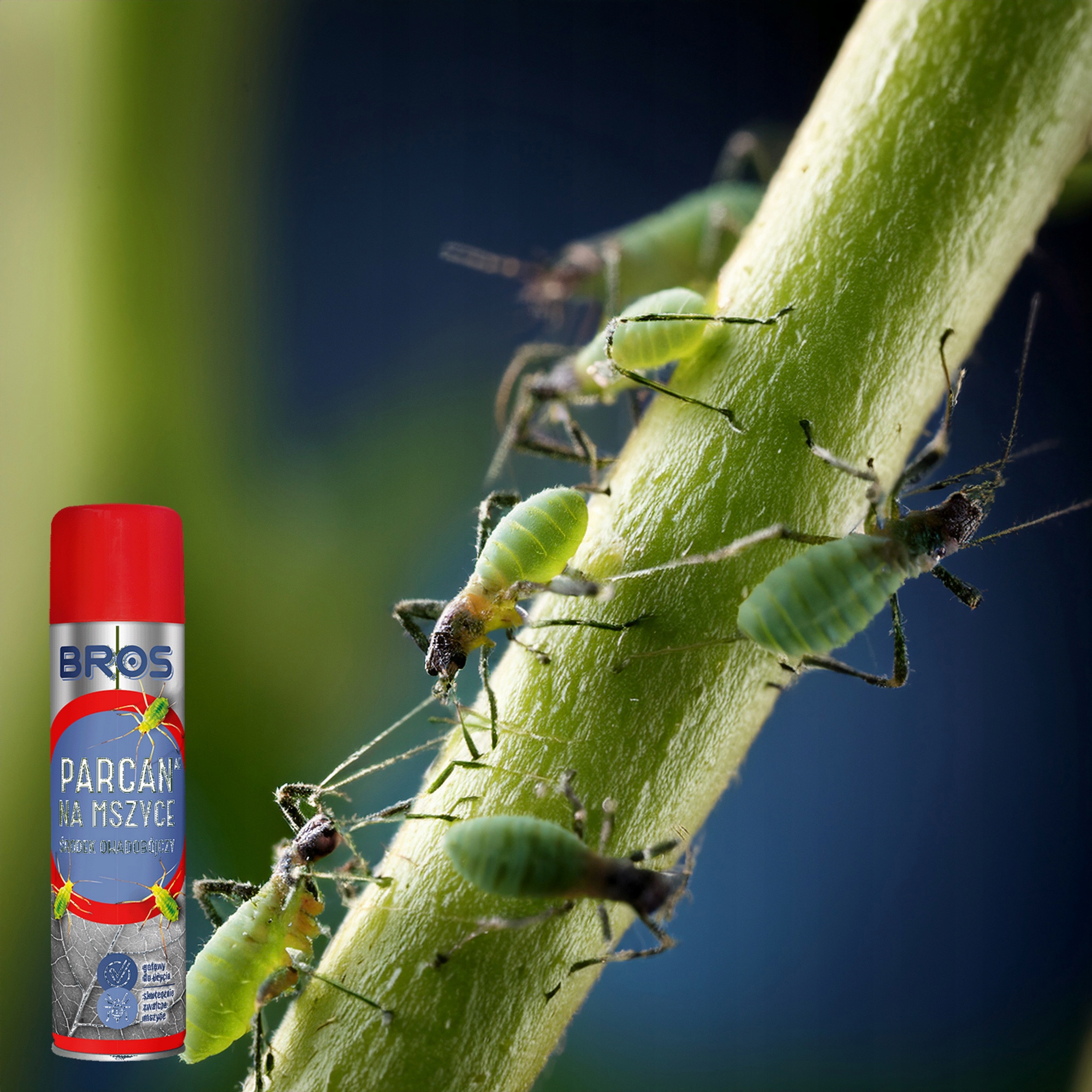 bros - parcan ae zwalcza mszyce spray 400ml