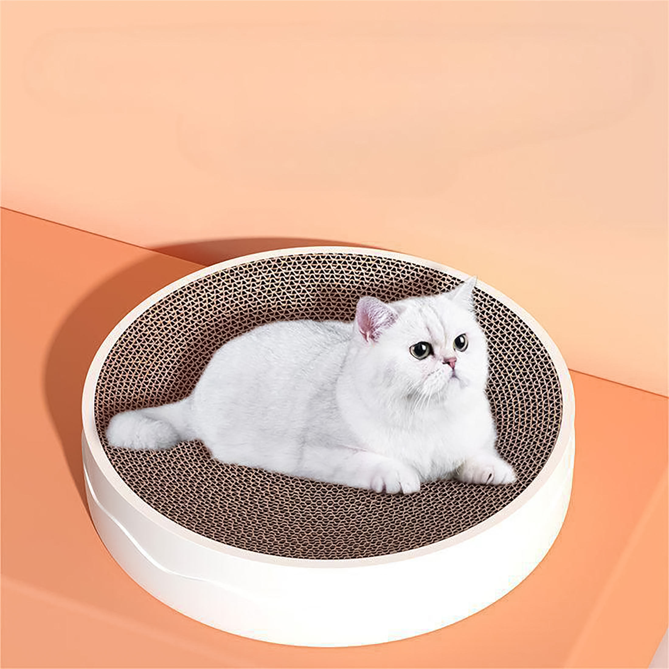 zestaw drapak z dodatkowym wymiennym wkładem dla kota ekologiczny tekturowy