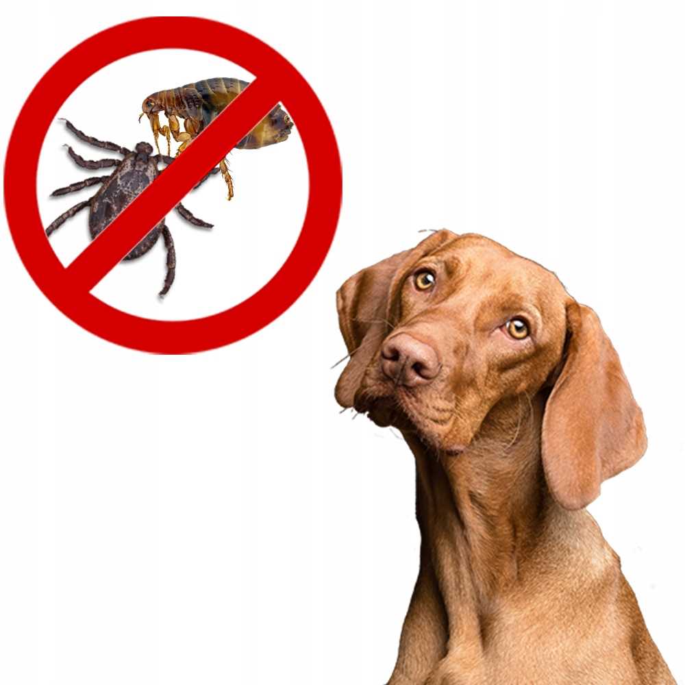 happs - na pchły i kleszcze 250ml