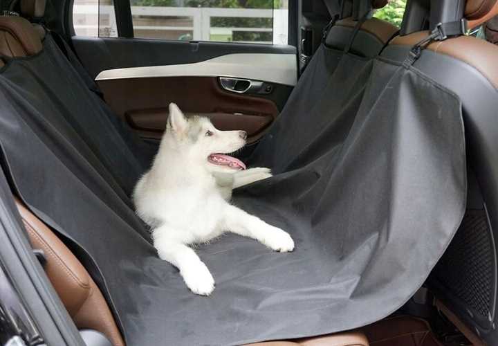 pokrowiec do samochodu - mata dla psa 144x144cm