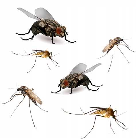 bros - muchospray 250ml