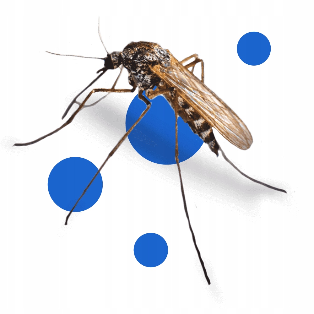 bros - bagosel 100ec 30ml - preparat do oprysku ogrodu przeciw komarom