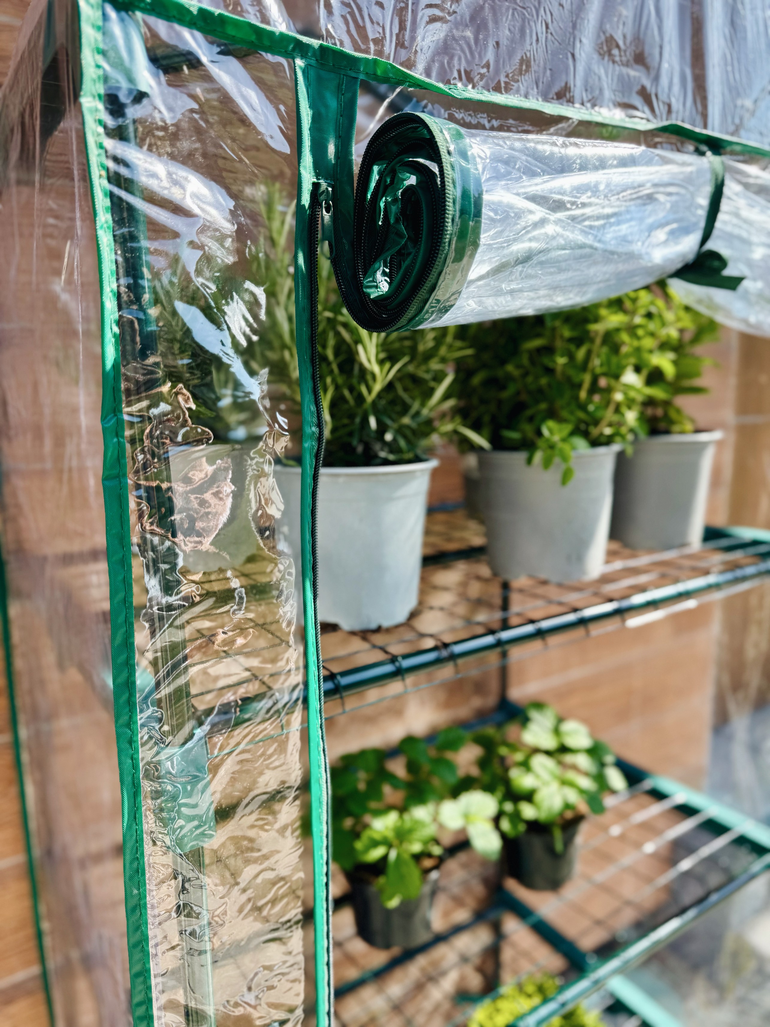 mini szklarnia balkonowa ogrodowa 160x70x50 do uprawy roślin tunel foliowy