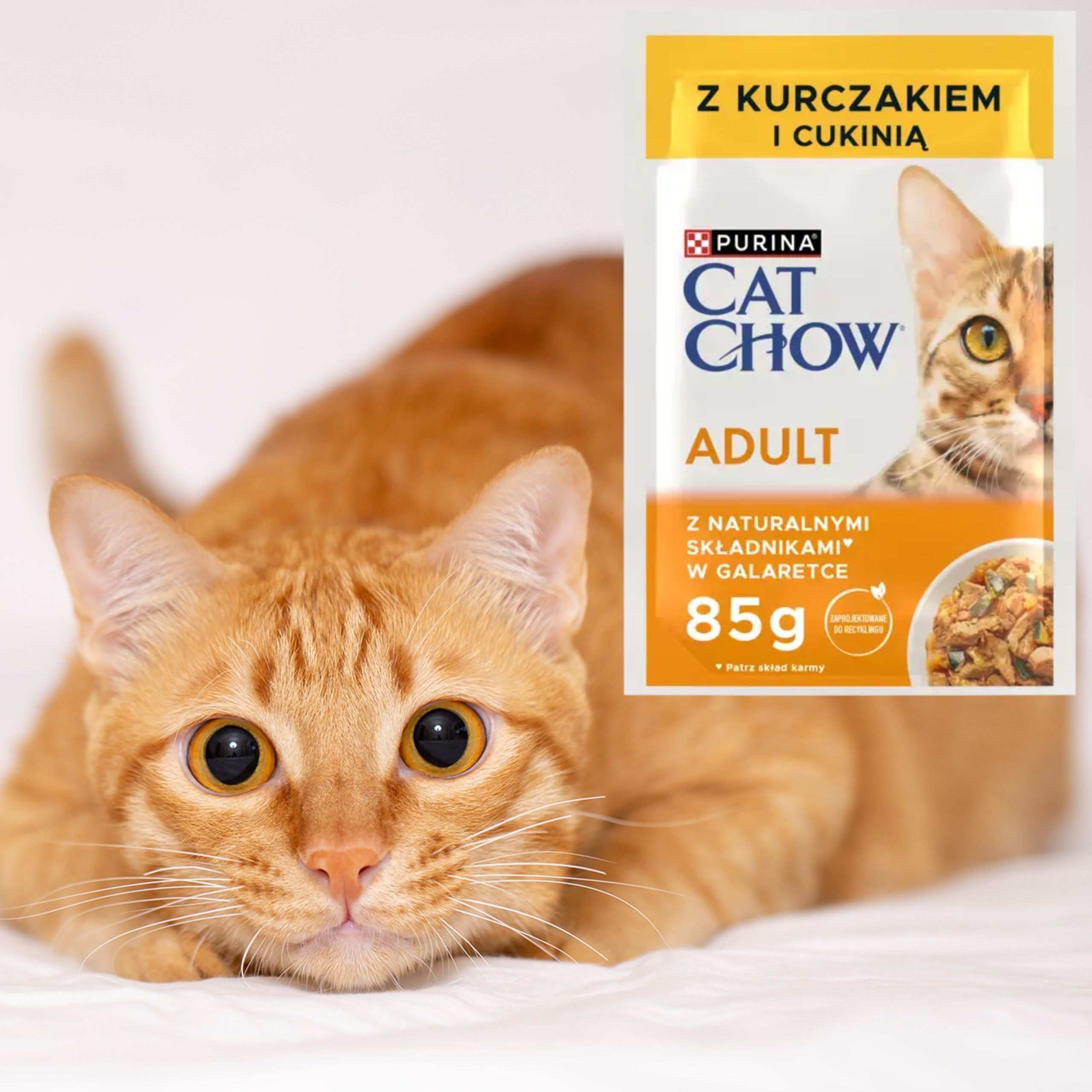 karma mokra dla kota purina cat chow adult kurczak z cukinią naturalna 85 g