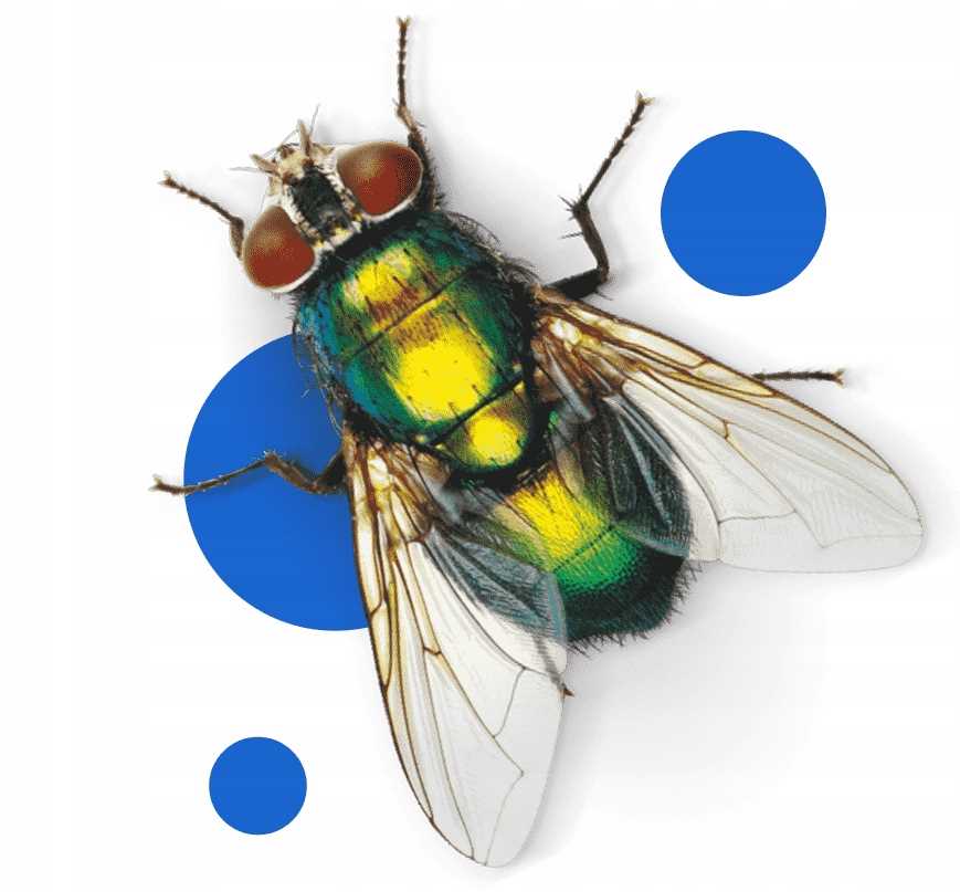 bros - spray na komary i kleszcze 50% deet 90ml - 2 szt.