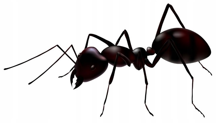 expel - proszek na mrówki 700g