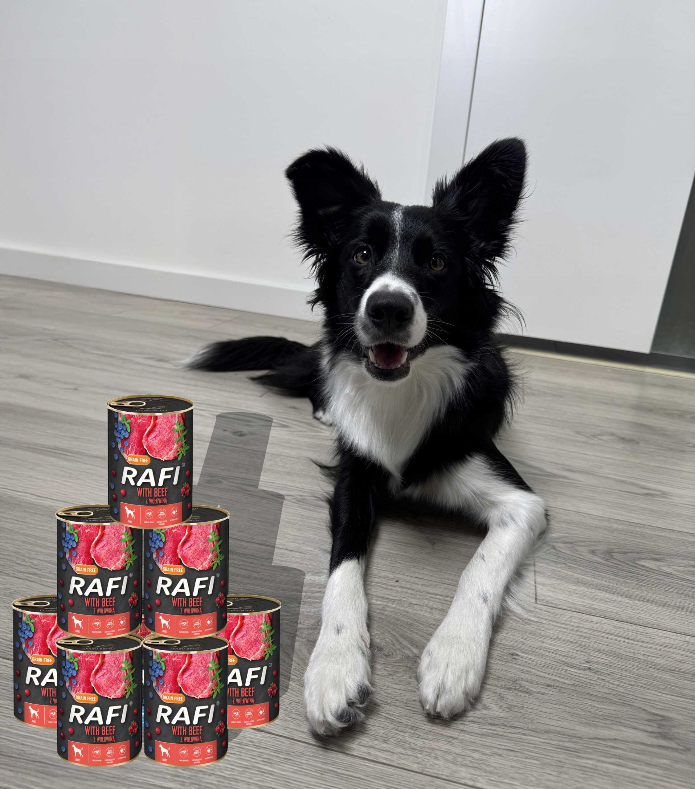 karma mokra dla psów rafi z wołowiną, borówką i żurawiną 400g - 6 szt.