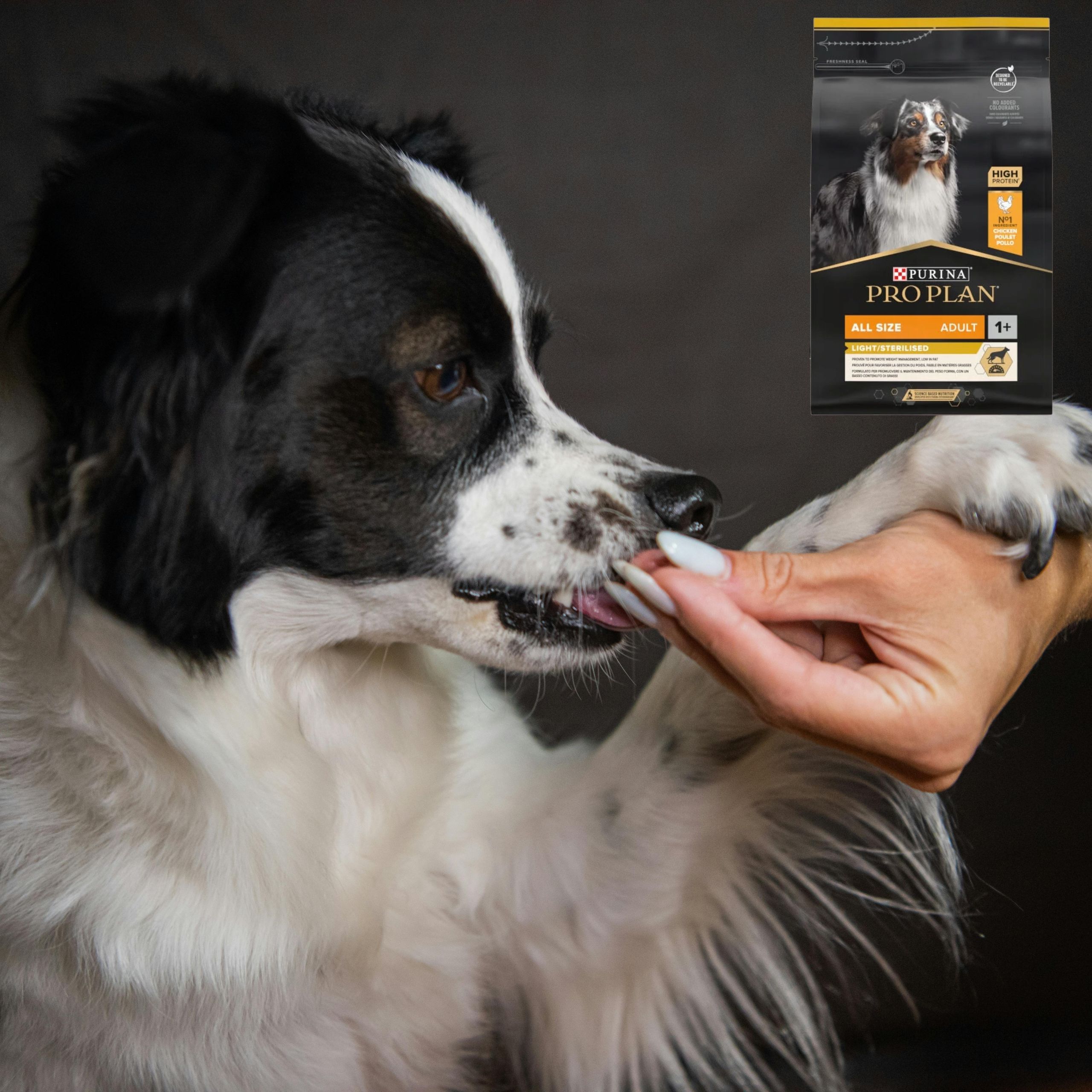 sucha karma dla psa purina pro plan kurczak 16.5 kg psy po sterylizacji