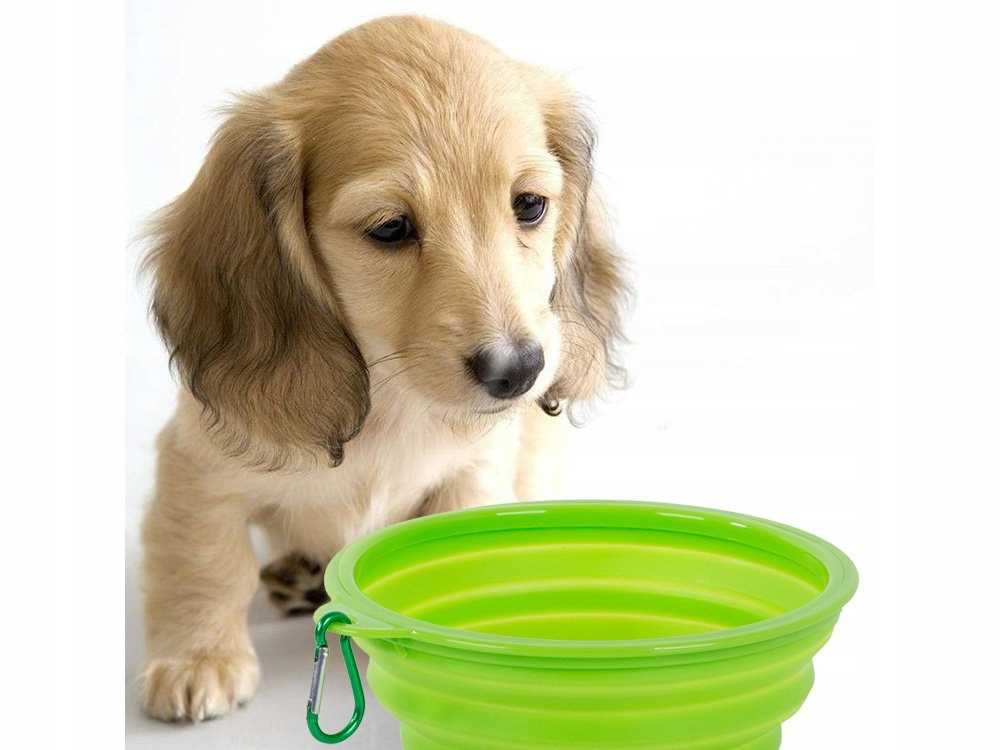 miska dla psa składana l - 19269