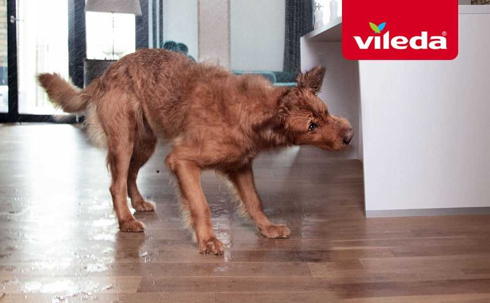 vileda pet pro ręcznik z mikrofibry m