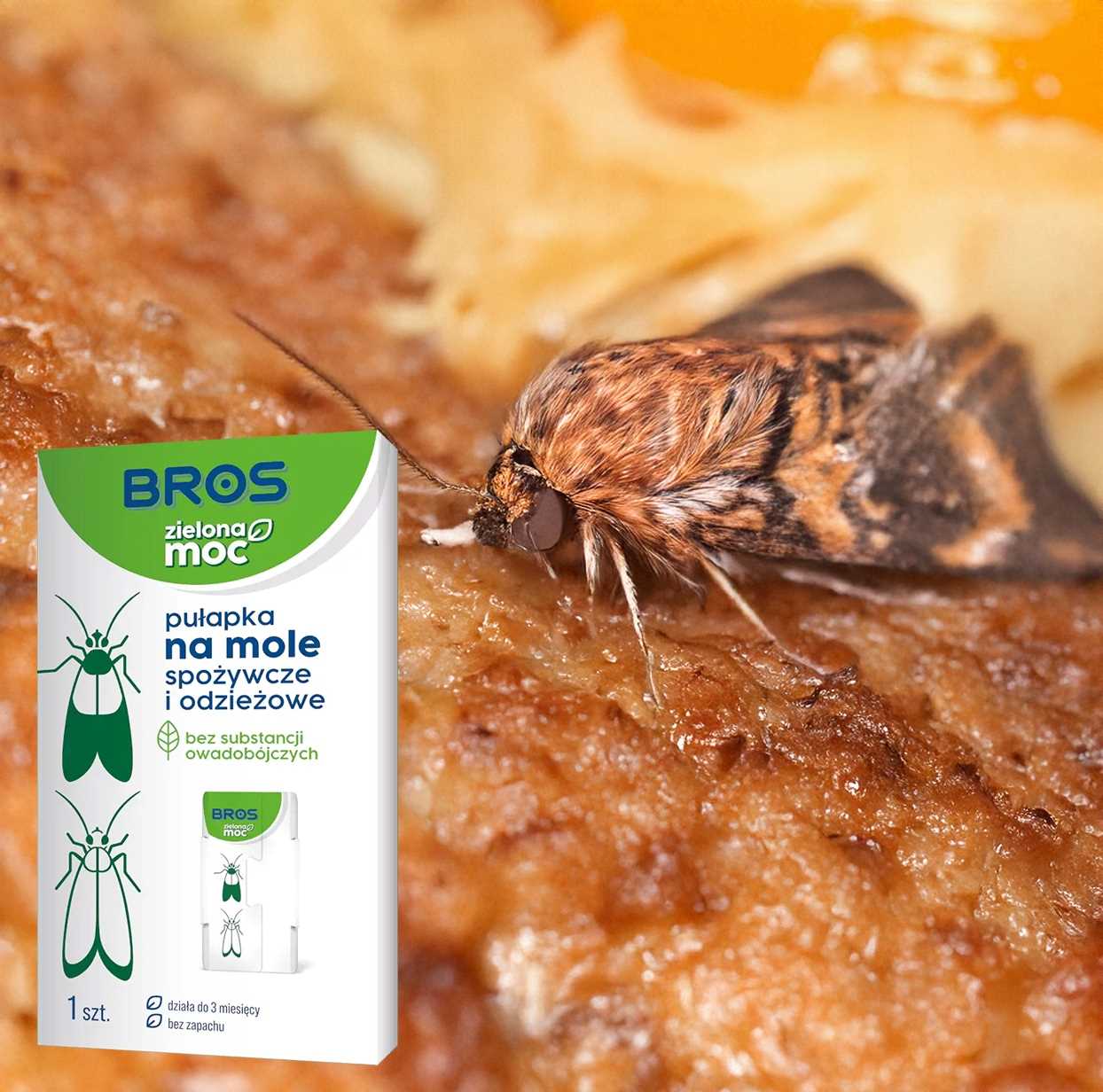 bros - zielona moc pułapka na mole spożywcze i odzieżowe - 10 szt.