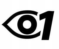 okulary ochronne / transparentny / gog-ice