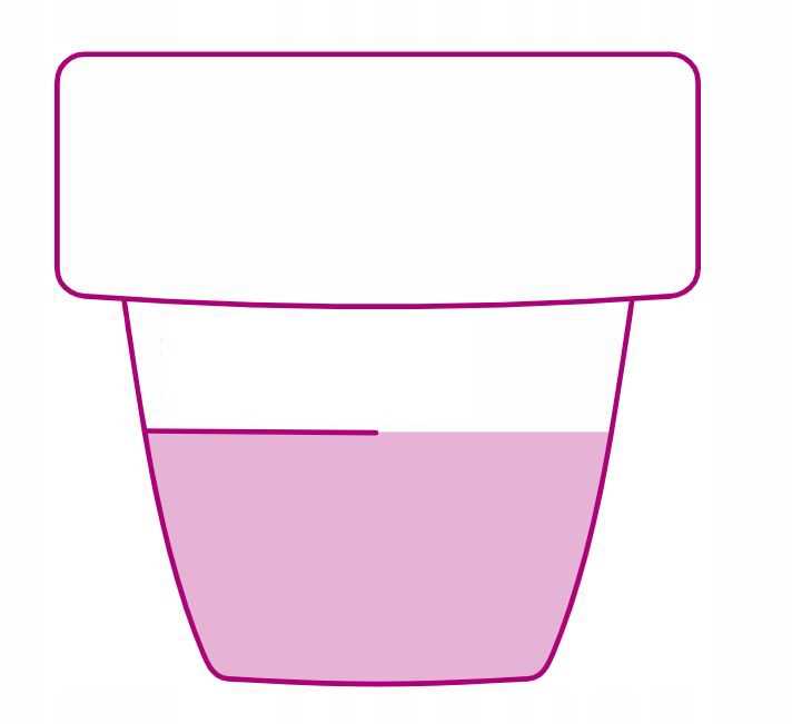 bopon - nawóz do roślin zielonych płyn 1l