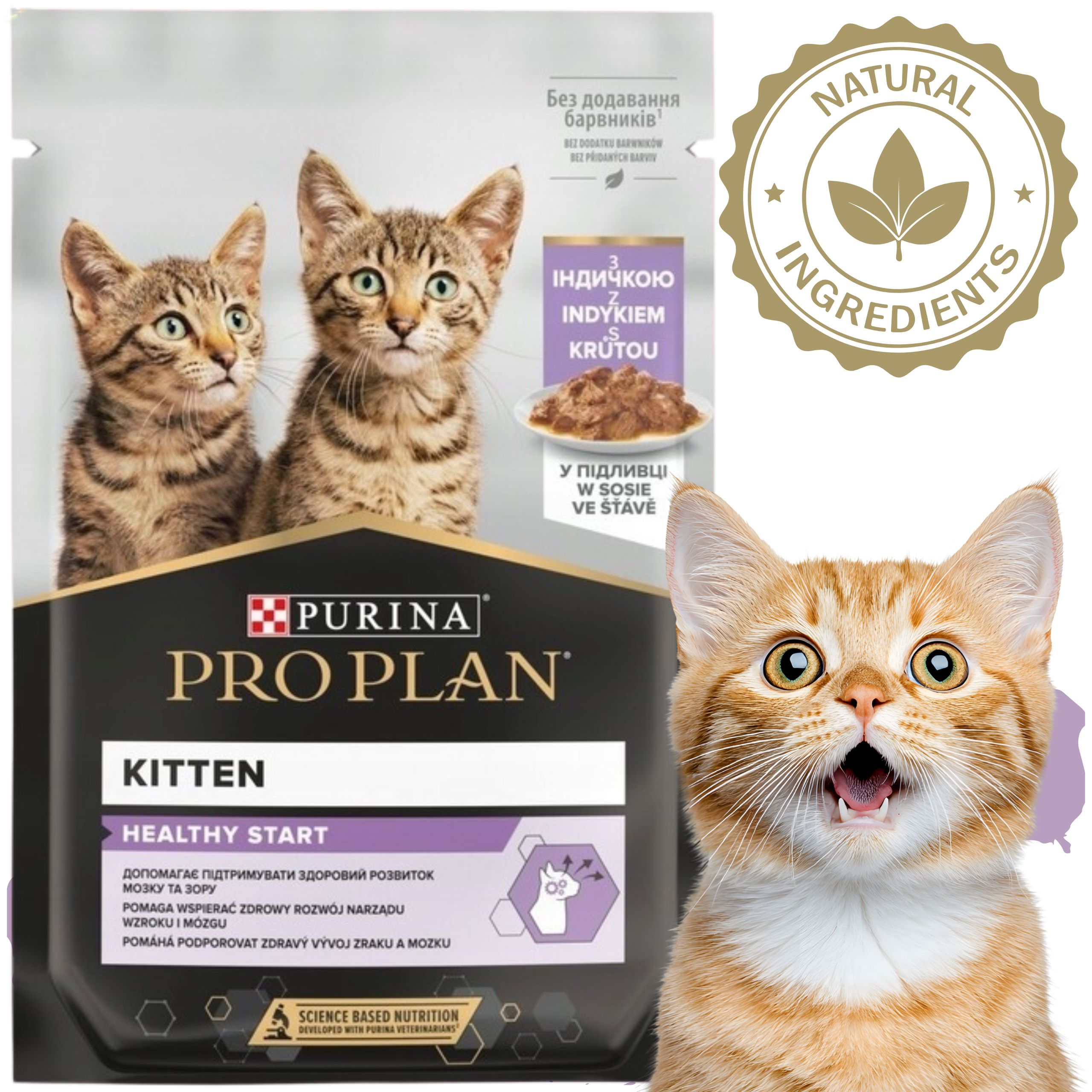 karma mokra dla kociąt pro plan kitten indyk w sosie 85 g z prebiotykiem