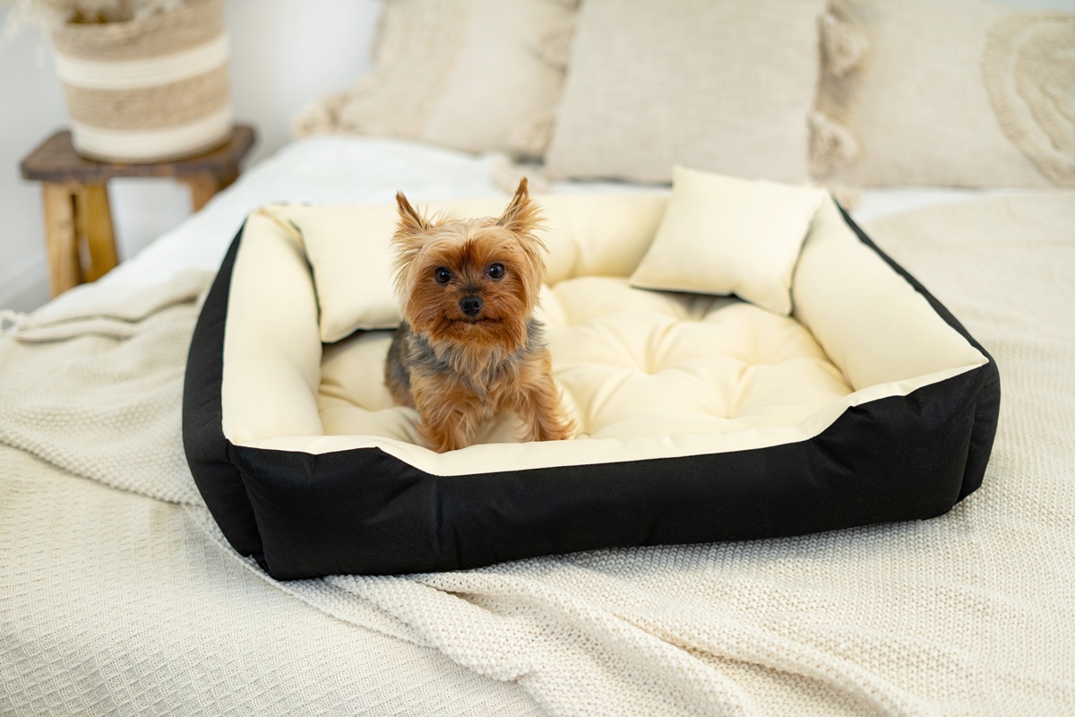 legowisko dla psa kojec ecco 55x45 cm wodoodporne beżowe