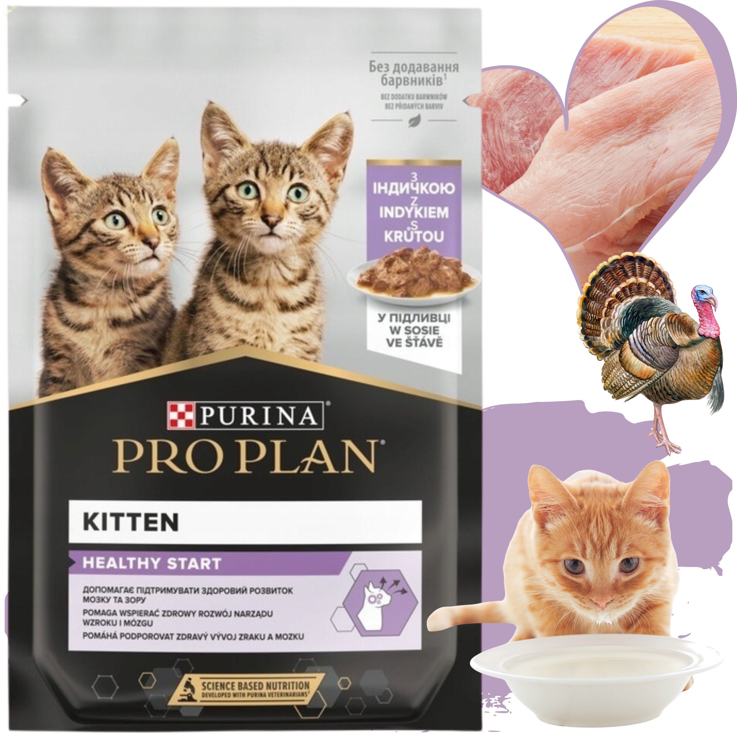 karma mokra dla kociąt pro plan kitten indyk w sosie 85 g z prebiotykiem