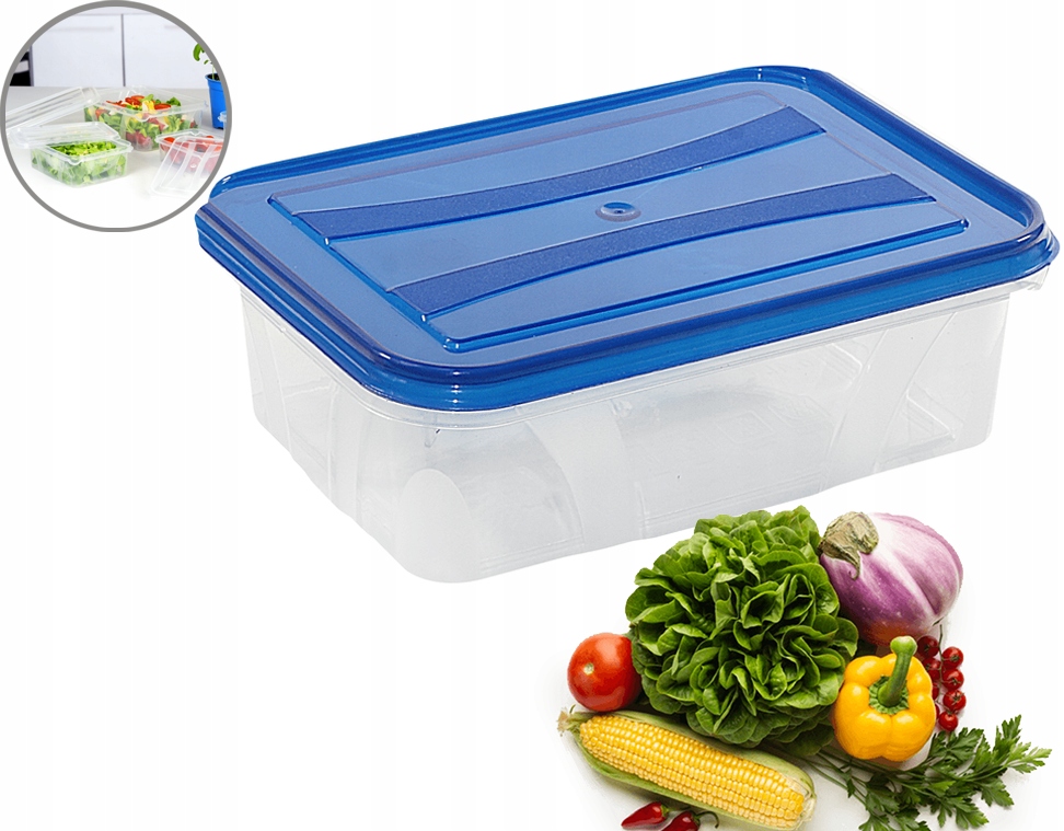 pojemnik master food 2,1l - tp niebieski