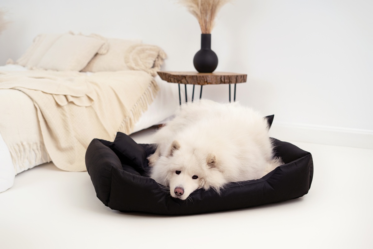 legowisko dla psa kojec ecco 100x75 cm wodoodporne czarne