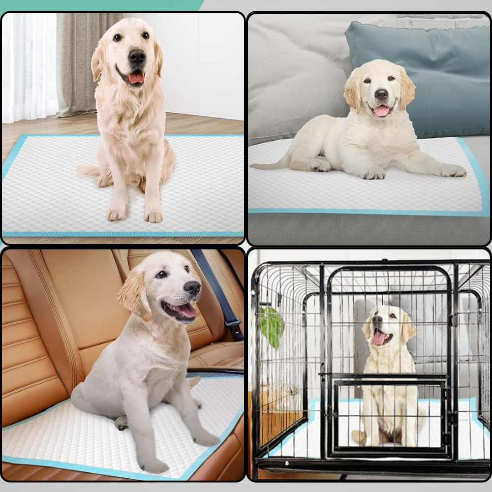 podkłady dla psów higieniczne maty dla psa do sikania zwierząt