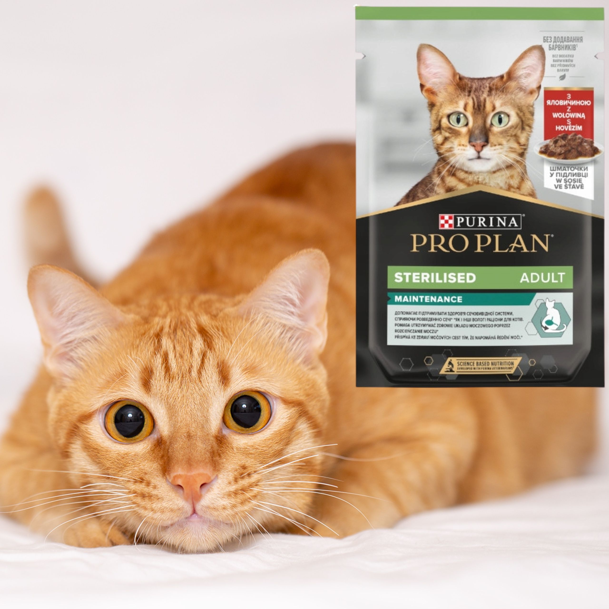 karma mokra dla kotów sterylizowanych pro plan sterlised z wołowiną 85 g