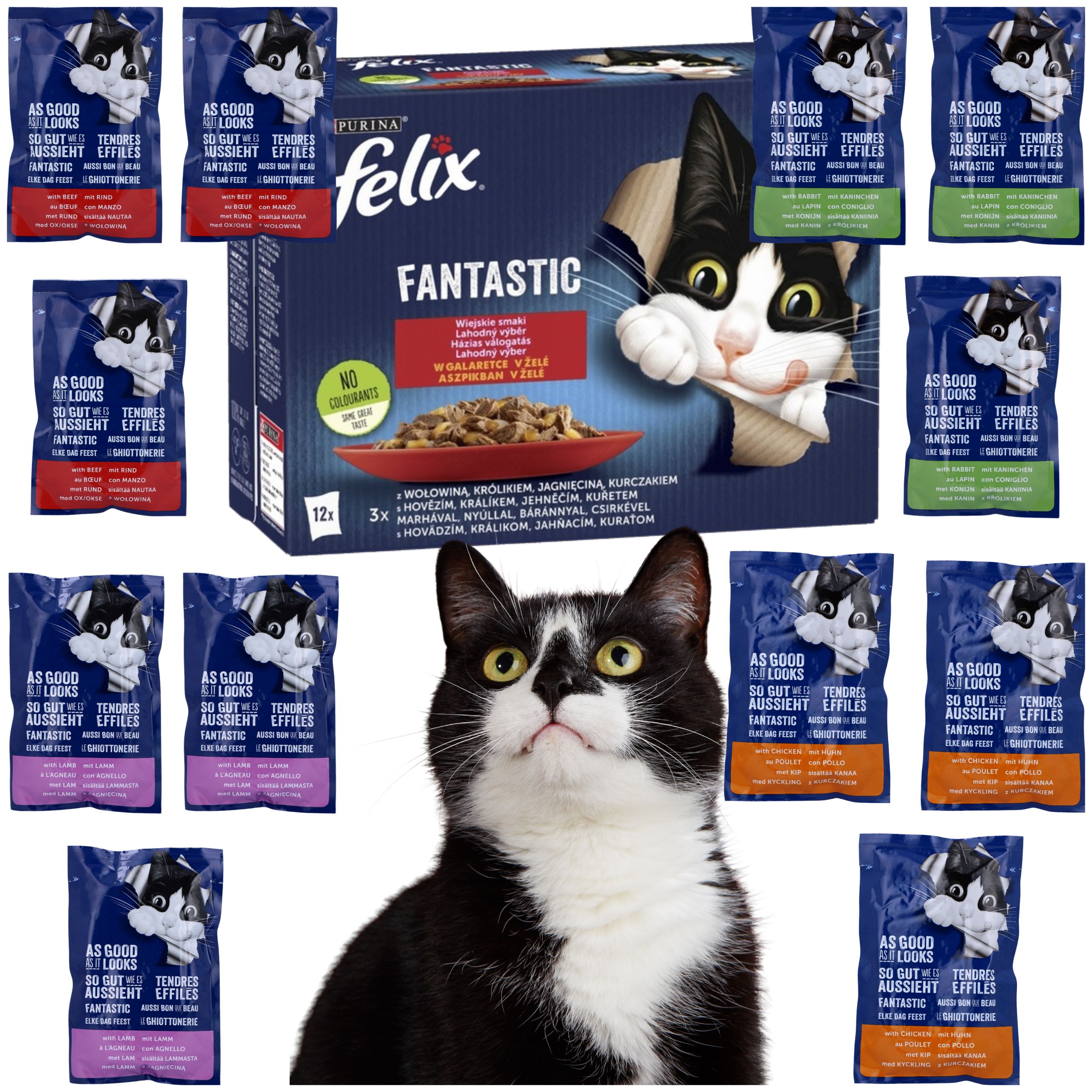 karma mokra dla kota felix fantastic wiejskie smaki mix z mięsem 12 x 85g