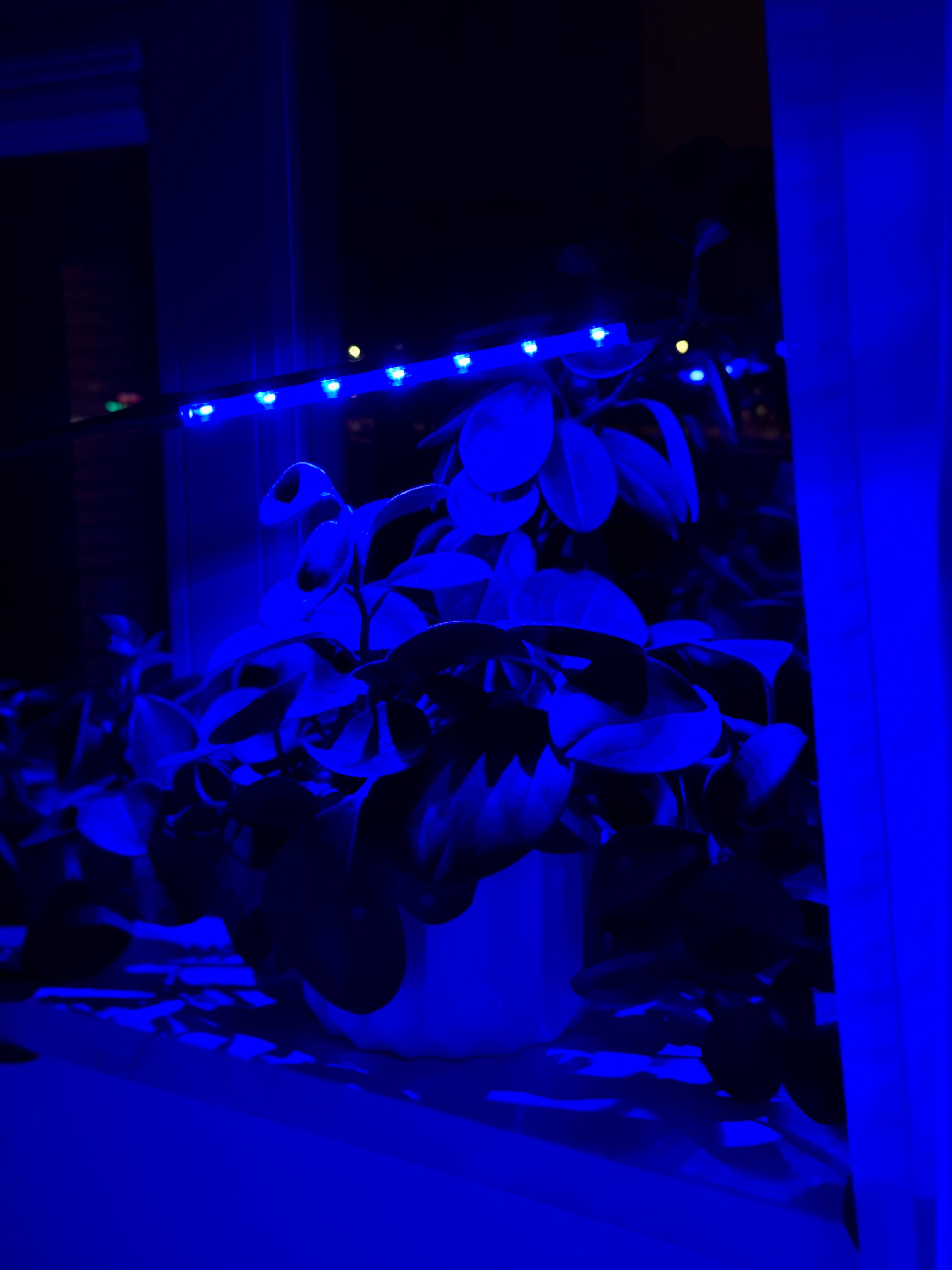 lampa led do wzrostu roślin 20 diod timer 9 w uprawa roślin do domu