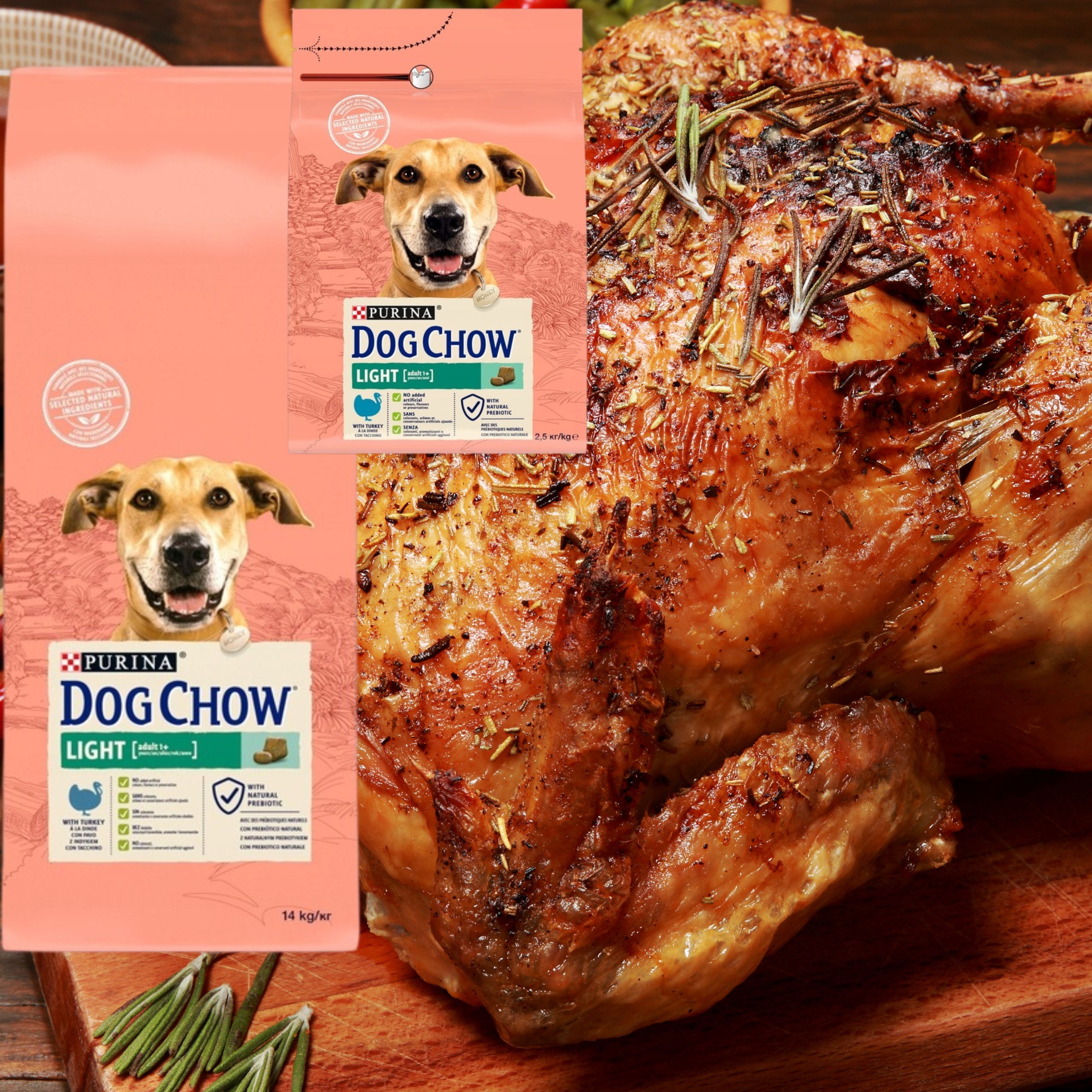 sucha karma psa purina dog chow indyk z prebiotykiem 14kg + 2,5kg gratis