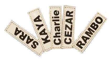 legowisko personalizowane dla psa domek 50x40 cm h=38 cm łapy czarne