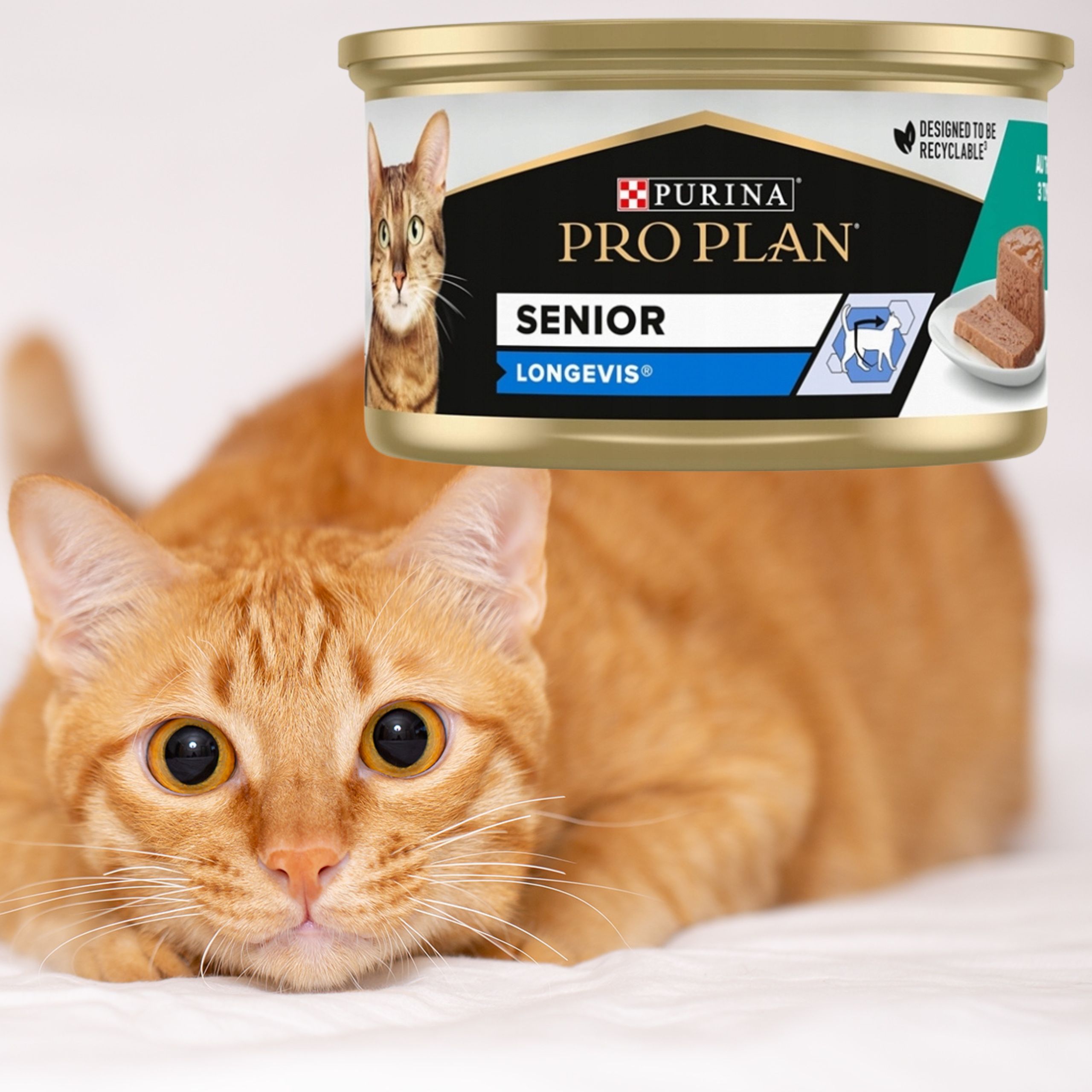 karma mokra dla kota purina pro plan senior kot mousse tuna tuńczyk 85g