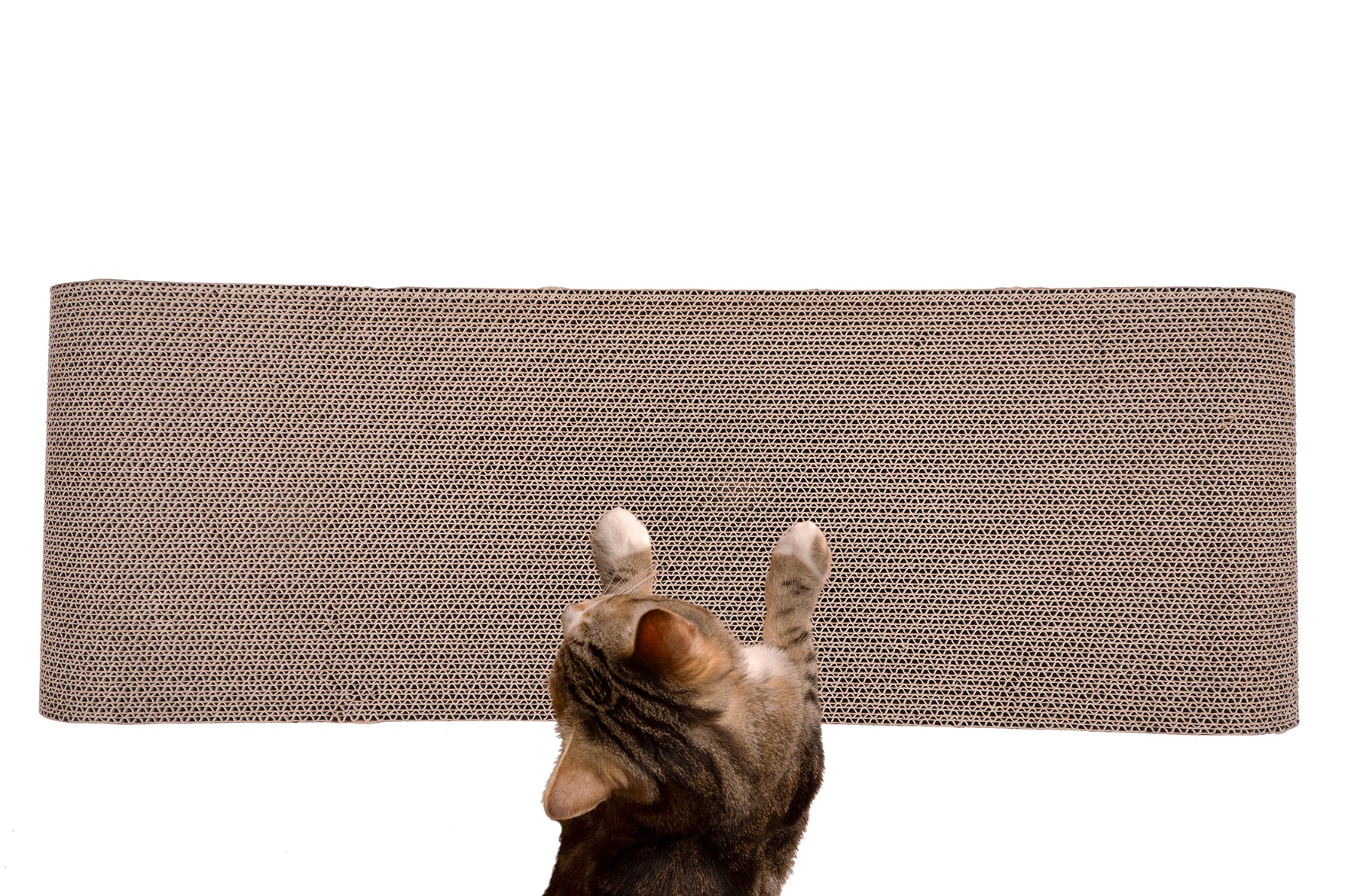 drapak dla kota  tekturowy duży legowisko do drapania leżak kartonowy