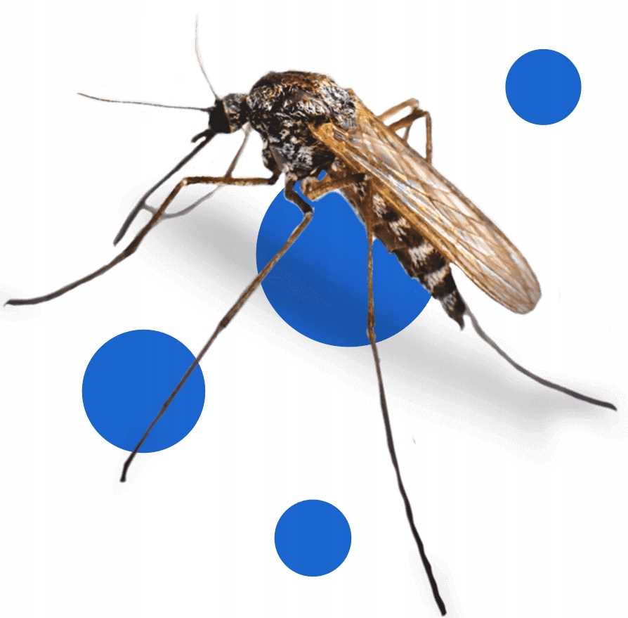 bros - spray na komary i kleszcze 90ml - 1 szt.