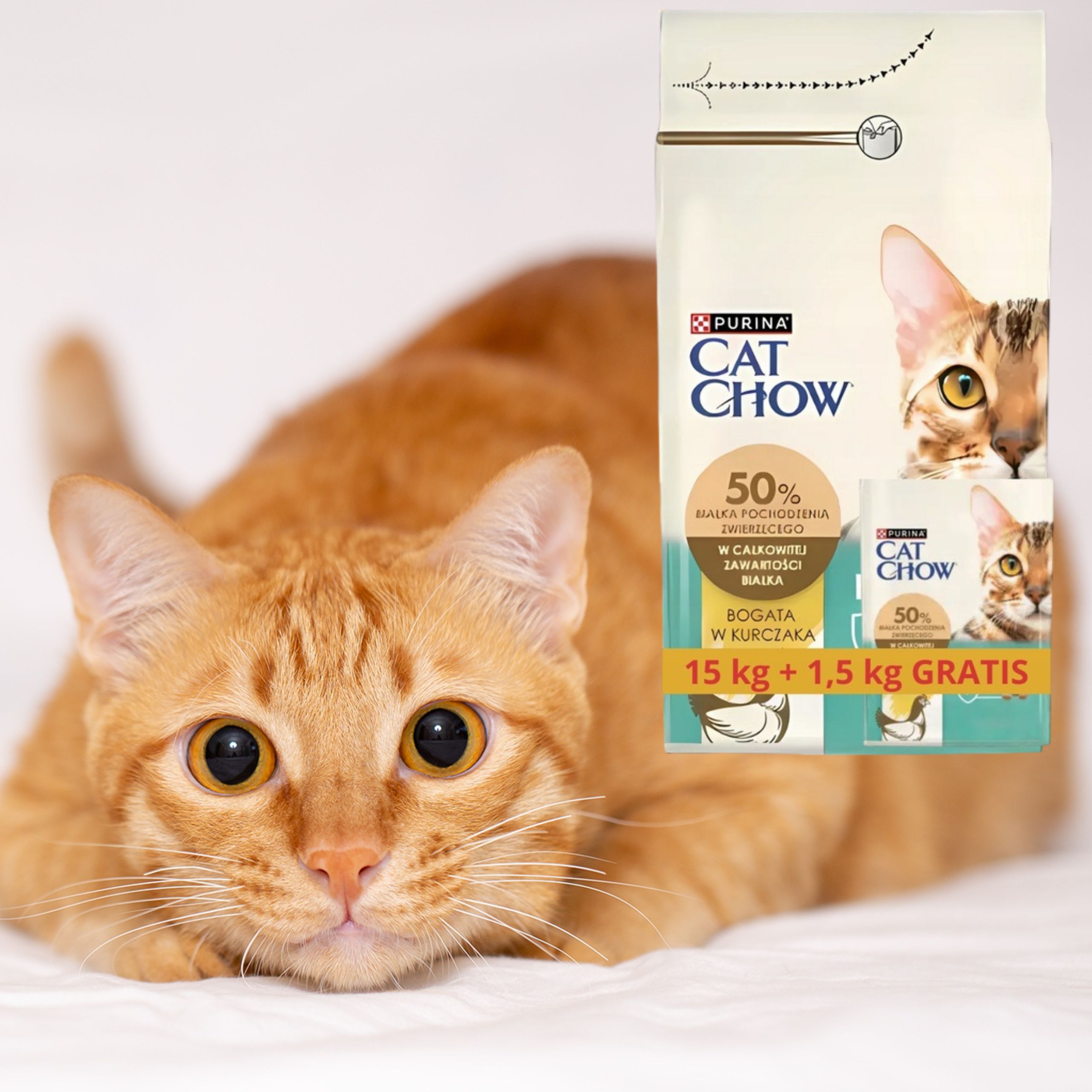 sucha karma dla kota z kurczakiem cat chow hairball 15 kg + 1.5 kg gratis
