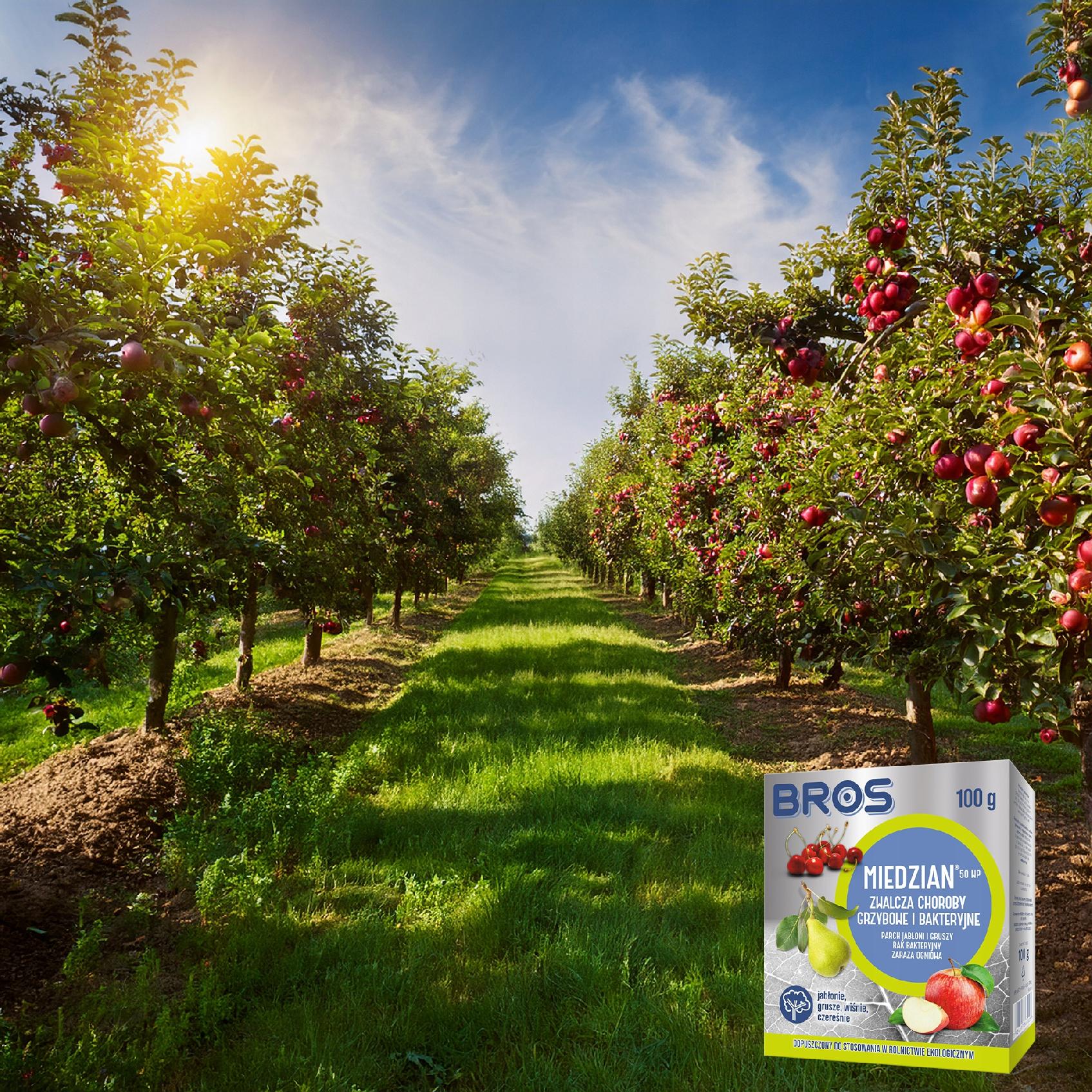 bros - miedzian 50wp 100g