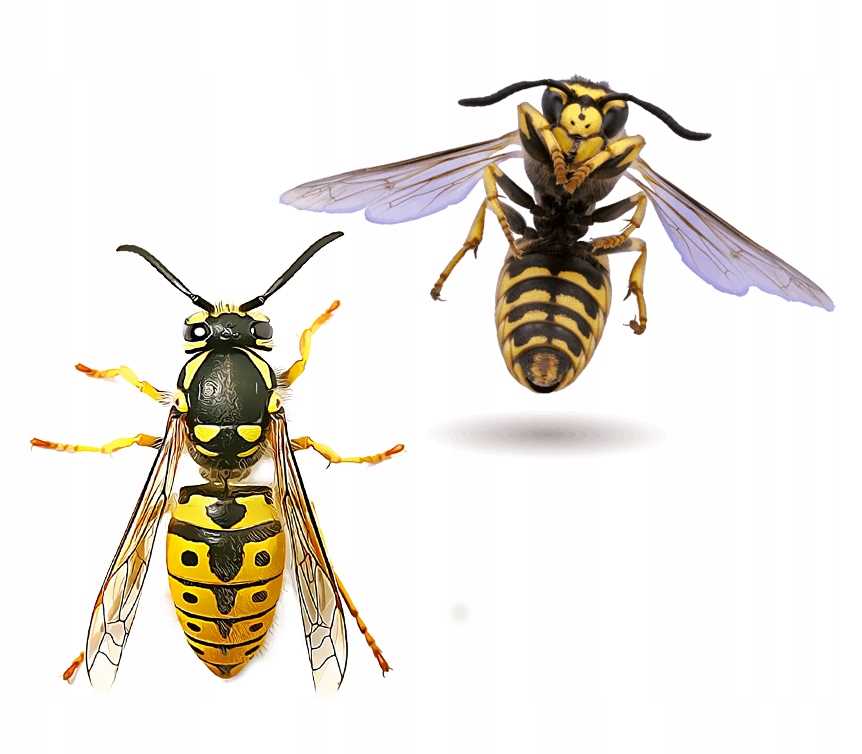 bros - anty osa 300ml